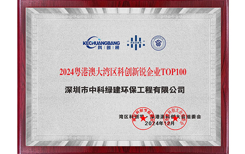 2024粵港澳大灣區科創新銳企業TOP100